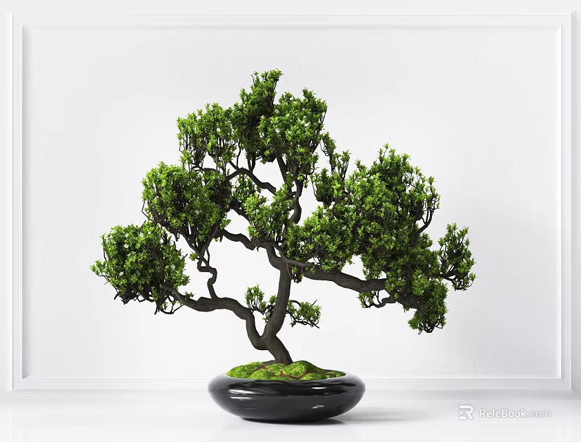 Bonsai Plant with Curved Branches Lush Green Leaves in Black Pot with Moss 3d model 