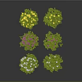 Vibrant Flower Bushes With White Pink Yellow Flowers And Green Leaves On Dark Background