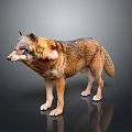 Realistic 3D Rendered Wolf With Detailed Brown And Gray Fur Standing On Gray Background