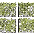 Green Vines Covering Wire Mesh Panels For Outdoor Decorative Screens