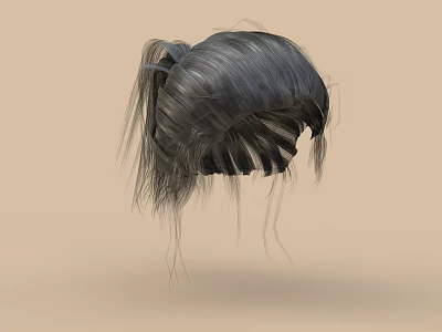 Decorative Ornament Set Including Black Ponytail Wig With Messy Hair Strands And Light Brown Backdrop 3d model