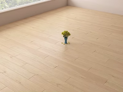 Light Wooden Flooring With Natural Light And Small Potted Plant In Bright Interior 3d model