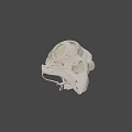 Detailed Bird Skull Anatomy With Intricate Skeletal Structure On Black Background
