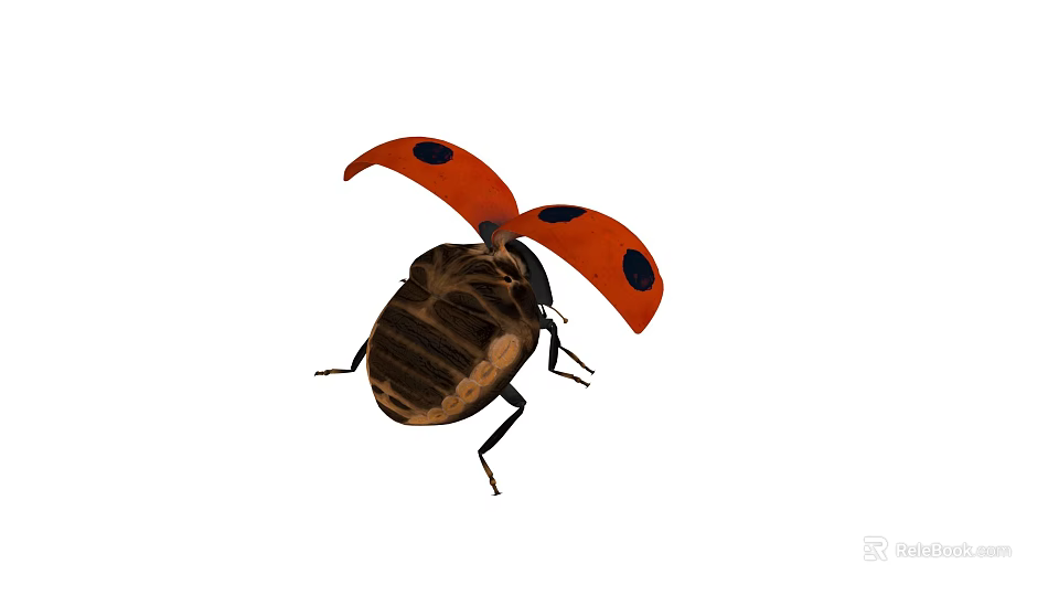Detailed Red Ladybug With Black Spots On Brown Body And Legs 3d model 