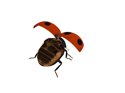 Detailed Red Ladybug With Black Spots On Brown Body And Legs 3d model