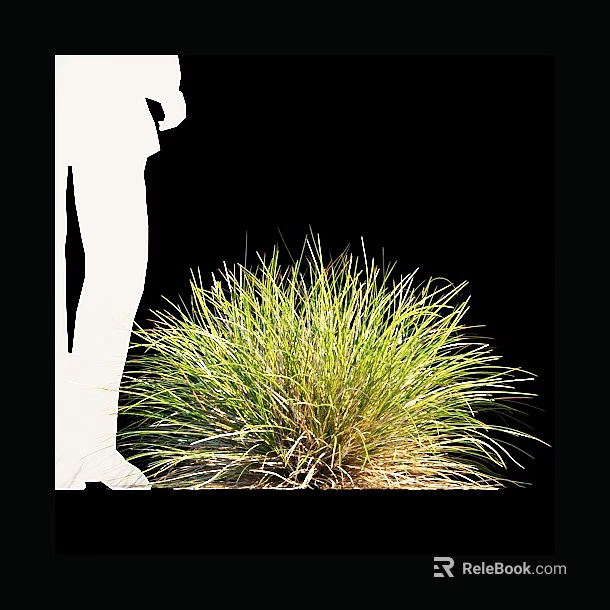 Green Grass Clump With White Human Silhouette On Black Background 3d model 