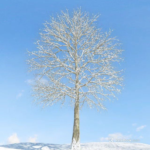 Snow Covered Tree Against Clear Blue Sky With Bare Branches in Winter Season 3d model 