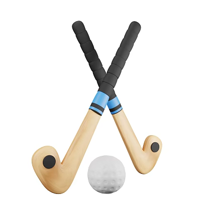 Wooden Hockey Sticks With Black Grip Blue Stripes And White Ball For Sports Activities 3d model