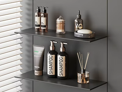 Modern Daily Washing Essentials Including Shampoo Soap Haircare Bottles Aroma Sticks on Black Shelves 3d model