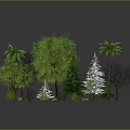 Variety Of Green Trees And Plants With Different Foliage Types 3d model