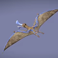 Prehistoric Pterosaur Flying With Brown Wings And Blue Accents In The Sky