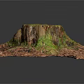 Decorative Wooden Stump Featuring Green Moss and Textured Stone Base