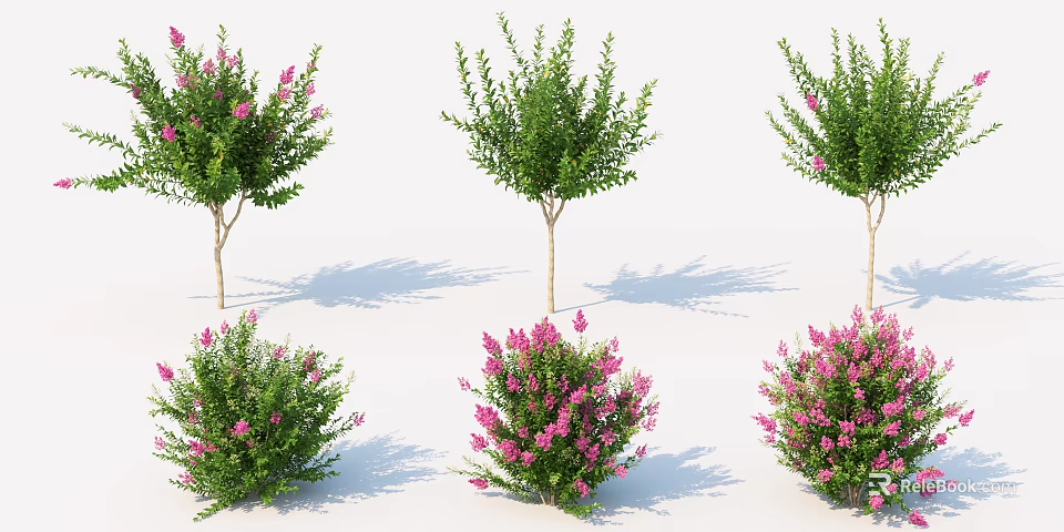 Decorative Shrubs with Pink Flowers Green Leaves on Trunks and Natural Shadows 3d model 