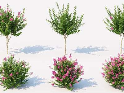 Decorative Shrubs with Pink Flowers Green Leaves on Trunks and Natural Shadows 3d model