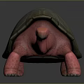 Turtle Character 3D Model with Pink Body and Green Brown Shell