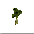 Fresh Green Leafy Vegetable With White Stems Bunch Isolated On Dark Background 3d model