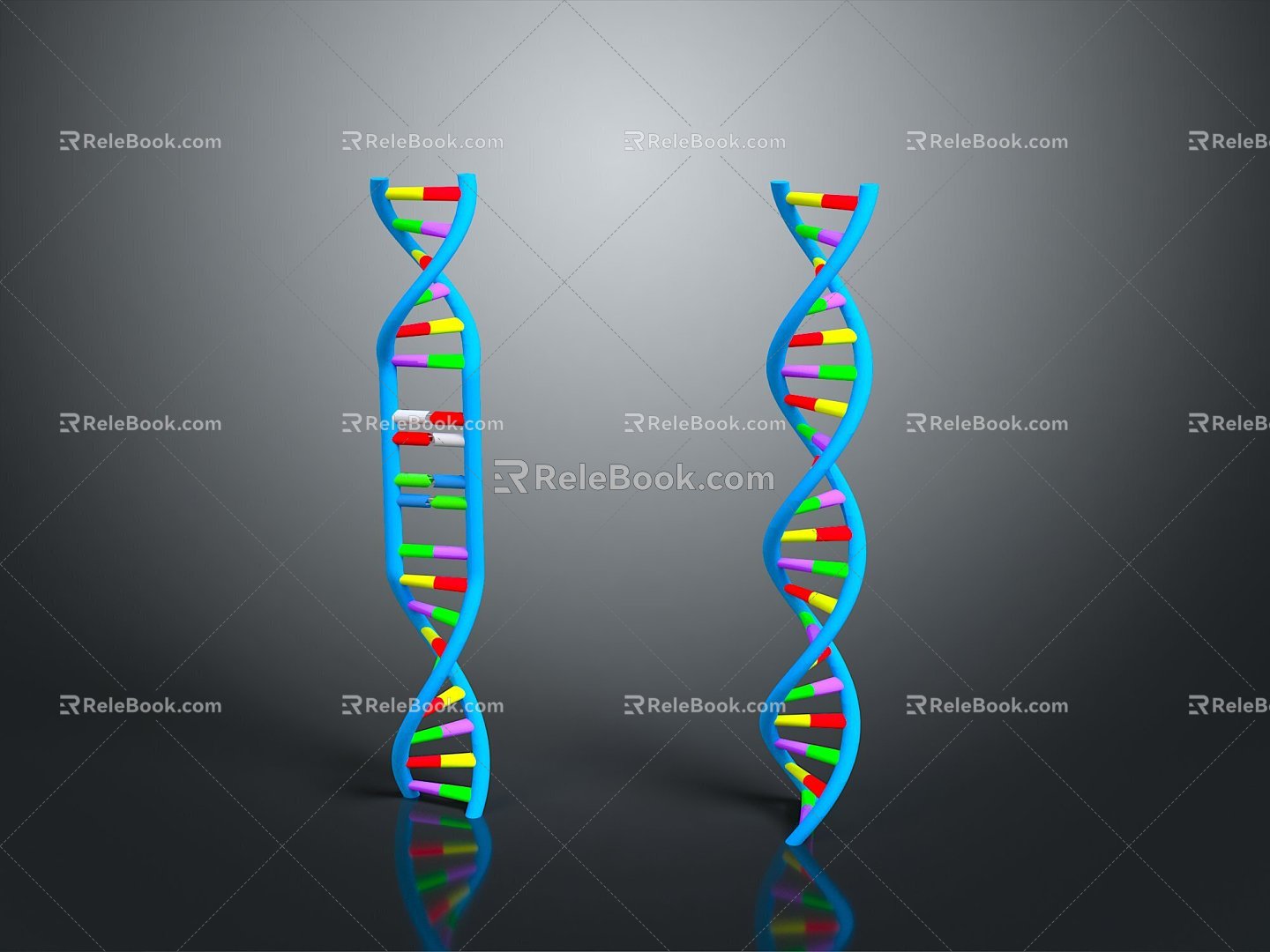 molecular chain gene chain digital daily necessities 3d model