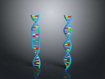 Colorful DNA Double Helix Model Toy with Blue Main Structure and Colorful Segments 3d model