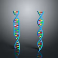 Colorful DNA Double Helix Model Toy with Blue Main Structure and Colorful Segments