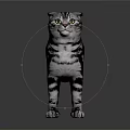 Gray And White Striped Cat Standing On Reflective Floor With Gray Background
