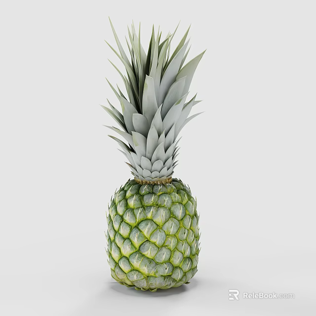 Fresh Green Ripe Juicy Pineapple With Crown Leaves On White Background 3d model 