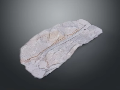 Wood Stone Composite Decorative Panel With Natural Texture For Home Interior Design 3d model