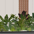 Lush Green Plants Featuring Large Leaves Ferns Banana Leaves White Walls Wooden Grille