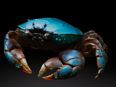 Unique Blue Brown Crab Decorative Ornament Set With Shiny Shell And Realistic Claws 3d model