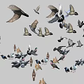 Modern Bird Bird Combination 3d model