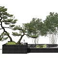 Japanese Style Courtyard Garden With Bonsai Pine Tree Bamboo And Stone Planter