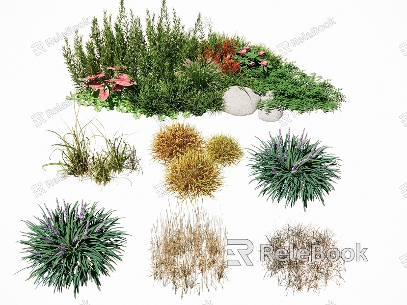 landscape plant cover flower lawn turf grass flower landscape grass weed ornamental grass withered grass Ophiopogon japonicus flower border combination model