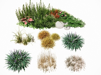 landscape plant cover flower lawn turf grass flower landscape grass weed ornamental grass withered grass Ophiopogon japonicus flower border combination 3d model