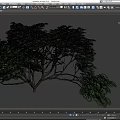 Lush Green Arbor Trees With Dense Foliage And Spreading Canopy 3d model