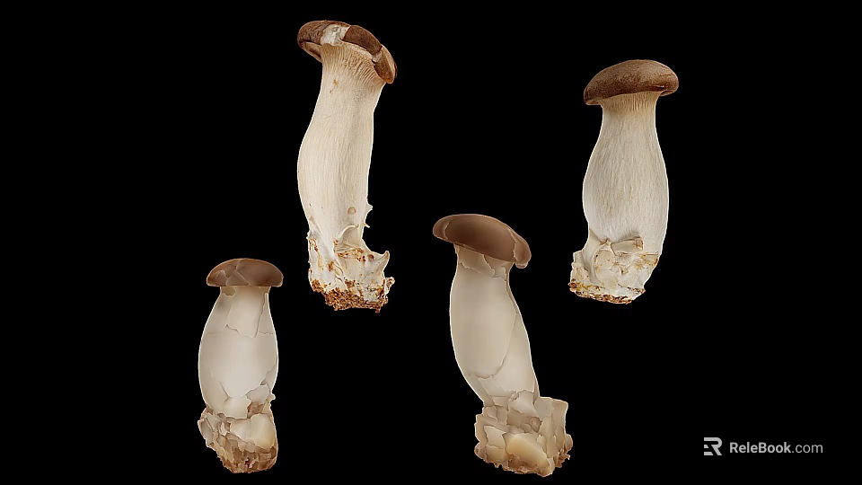 Fresh King Oyster Mushrooms With White Stem And Brown Cap On Black Background 3d model 