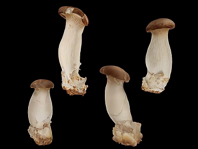 Fresh King Oyster Mushrooms With White Stem And Brown Cap On Black Background 3d model