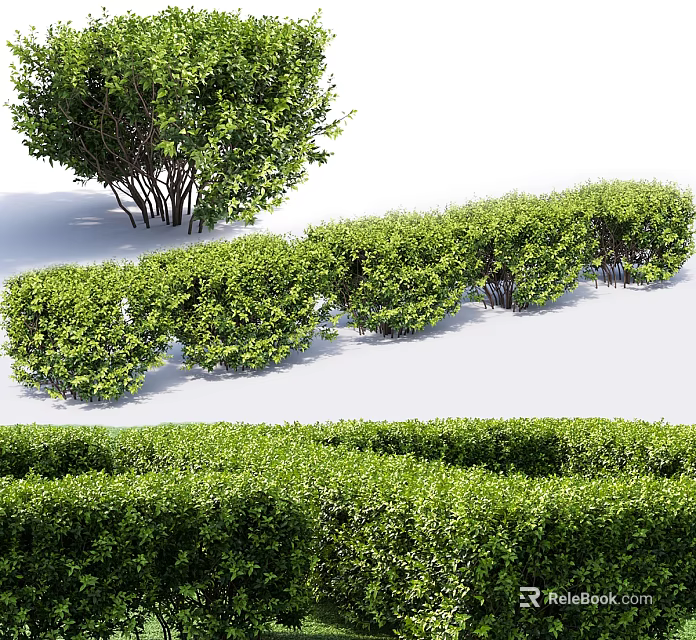 Neatly Trimmed Green Shrubs And Hedges In Various Shapes For Garden Landscape Design 3d model 