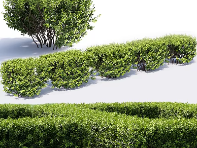 Neatly Trimmed Green Shrubs And Hedges In Various Shapes For Garden Landscape Design 3d model