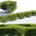 Neatly Trimmed Green Shrubs And Hedges In Various Shapes For Garden Landscape Design