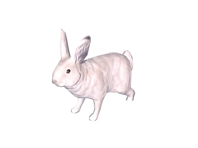 Cute White Rabbit With Long Ears And Fluffy Fur Standing Isolated 3d model