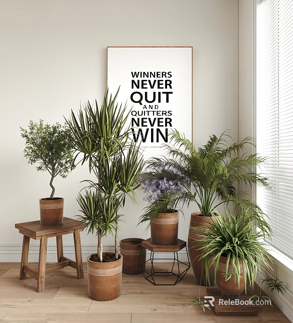 Indoor Bonsai Potted Plants Decor With Terracotta Pots Palm Olive Tree And Purple Flowers 3d model 