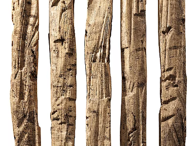 Warm Brown Solid Wood Flooring with Natural Texture and Knots 3d model