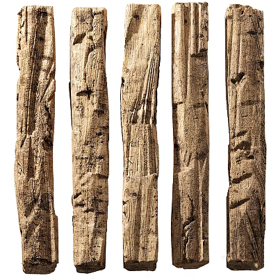 Warm Brown Solid Wood Flooring with Natural Texture and Knots 3d model