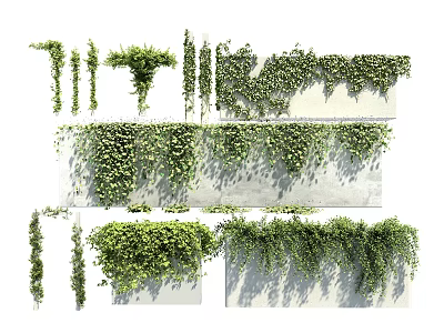 Different Types of Decorative Vines Growing on Concrete Walls and Hanging 3d model