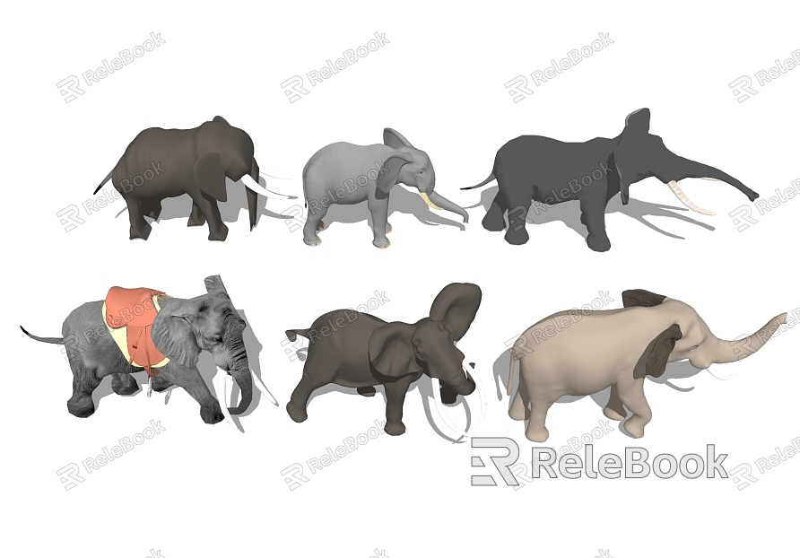 Elephant animal model