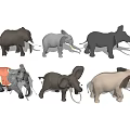 Elephant animal 3d model