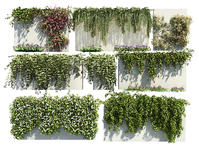 Various Climbing Vines With Hanging Green Foliage And Small Flowers On Wall Background 3d model