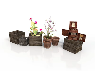 Blooming Cactus And Orchid Plants In Wooden Planters And Open Wooden Boxes 3d model