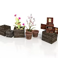 Blooming Cactus And Orchid Plants In Wooden Planters And Open Wooden Boxes