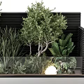 Lush Green Plants And Trees With Glass Railing And Lighting On Black Wall Planter