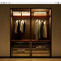 Modern Wooden Wardrobe Interior With Hanging Garments Storage Boxes And Drawers